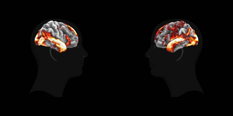 Meta 新 AI 模型可预测人脑对图像、声音和语音的反应
