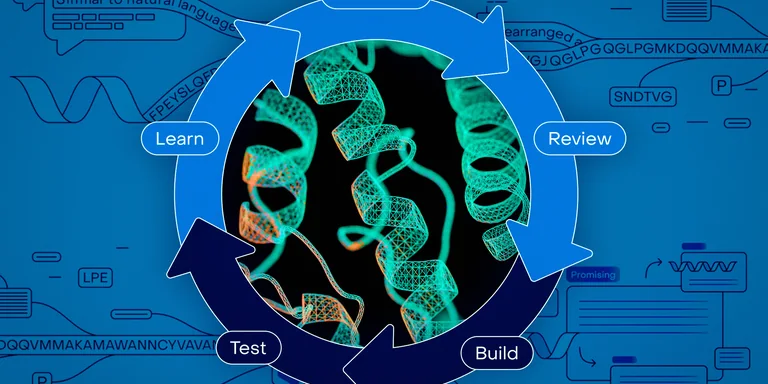 MIT 孵化的 OpenProtein.AI 想把蛋白质设计模型带给更多生物学家